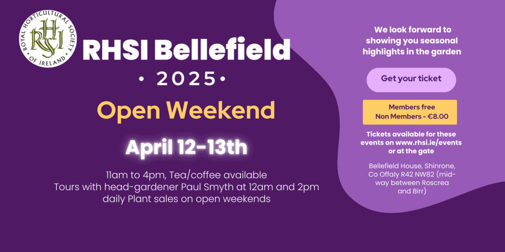 Step into the beauty of RHSI Bellefield and immerse yourself in a garden that evolves with the seasons. Our Open Weekends offer the perfect opportunity to explore this historic setting, meet fellow garden lovers, and support a wonderful cause
