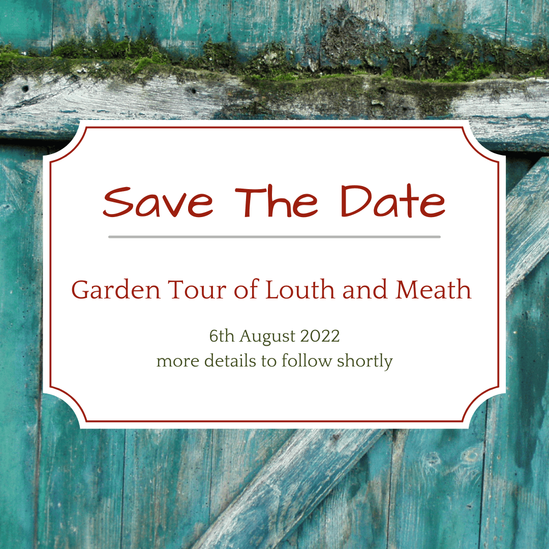 Orange Vintage Modern Save The Date Instagram Post 1 RHSI Orange Vintage Modern Save The Date Instagram Post 1 RHSI